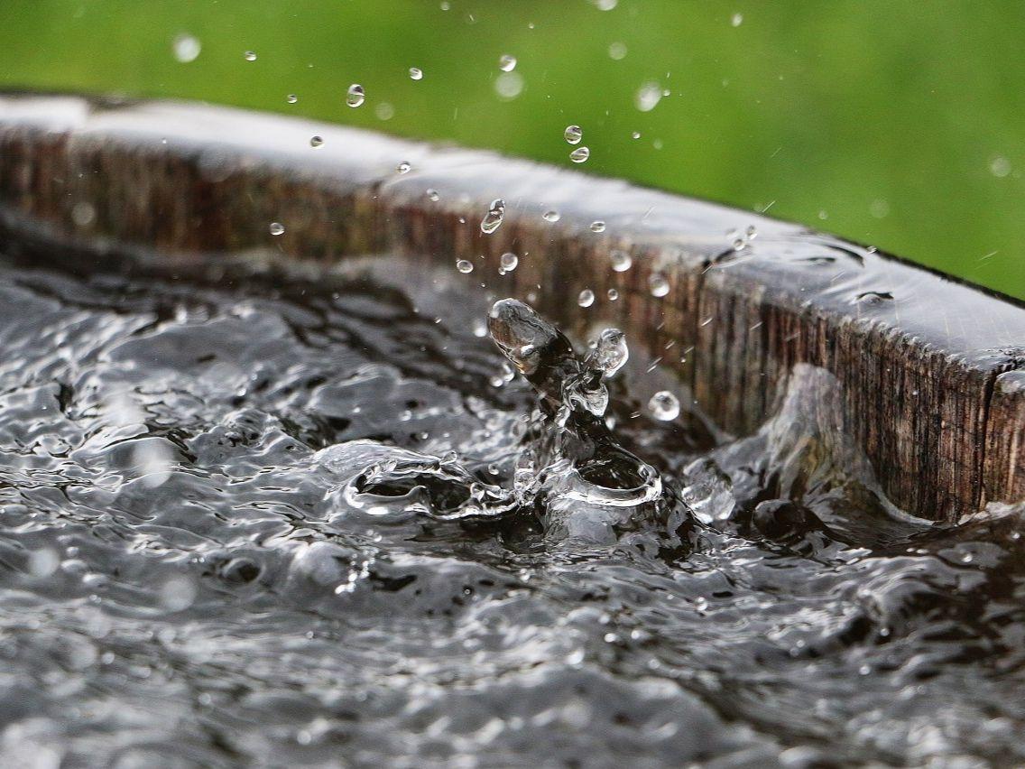 Summer is Coming! Save Water and Save Life – Rainwater Harvesting Guide