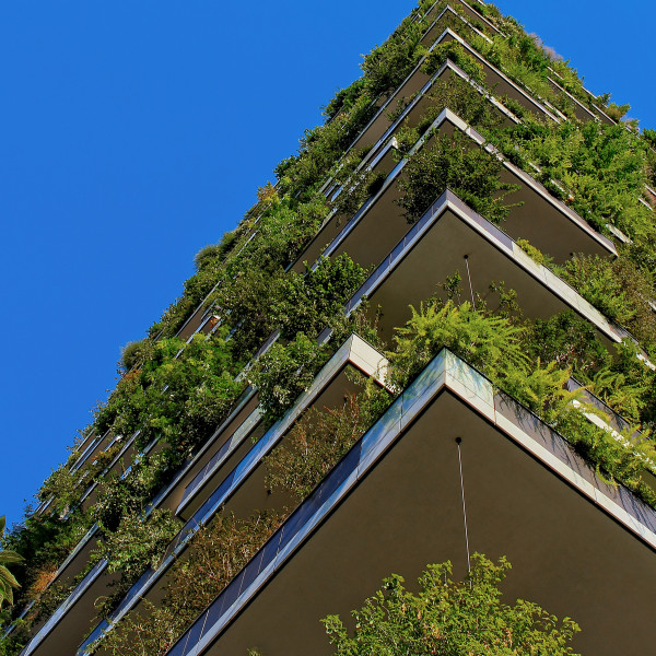4 Surprising Health and Financial Benefits of Green Buildings