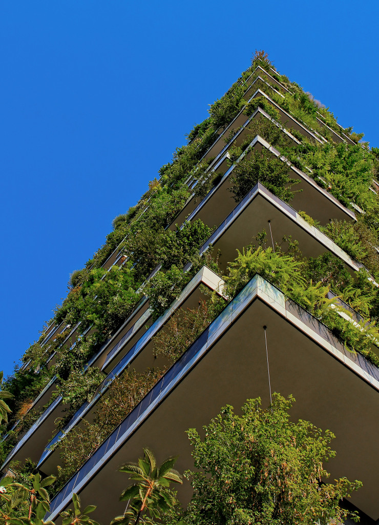 Health and Well-Being Benefits of Green Buildings | Eco-Friendly Homes
