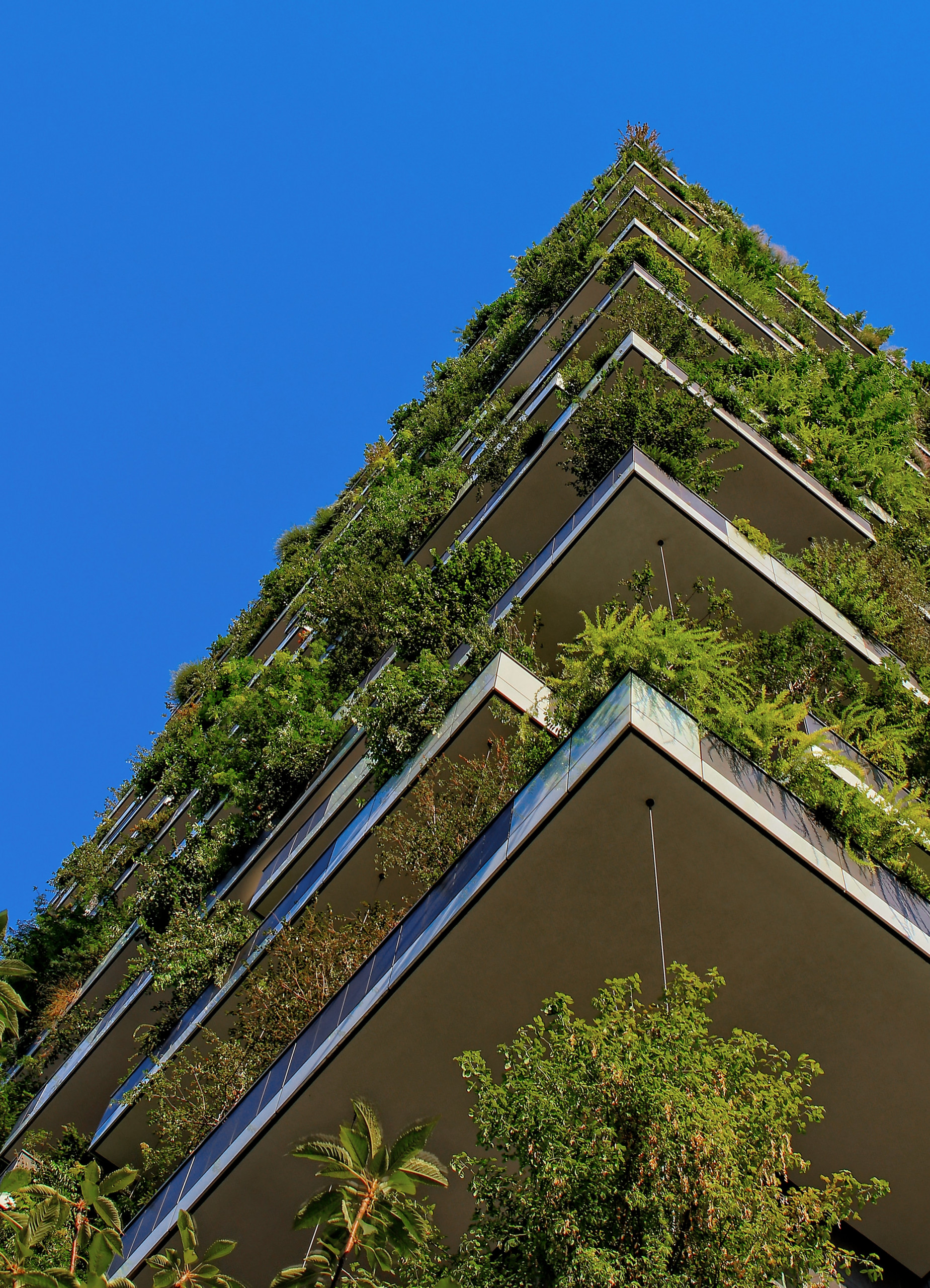 4 Surprising Health and Financial Benefits of Green Buildings